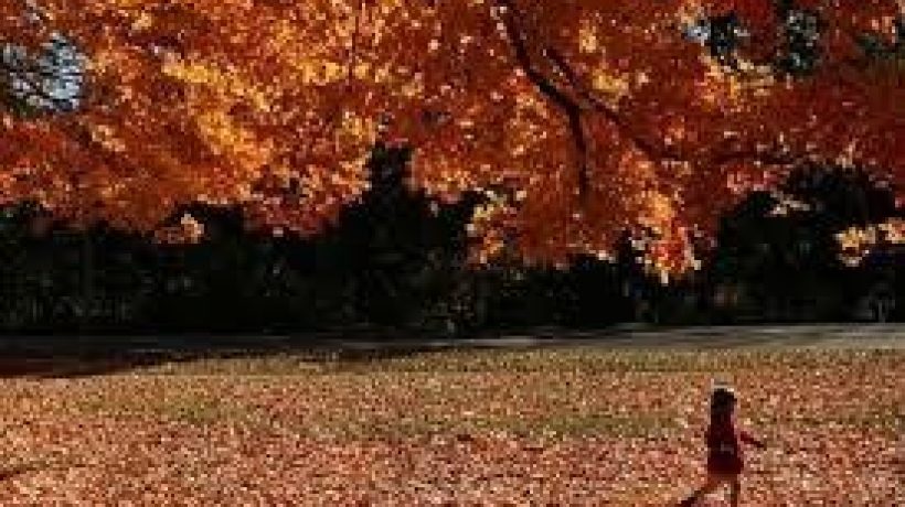 The different smell of the seasons. Can you tell which is when.