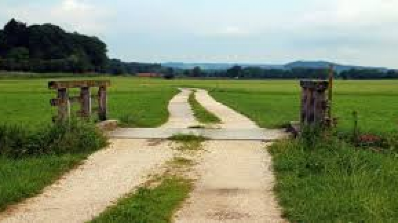 Should I Move to the Countryside?