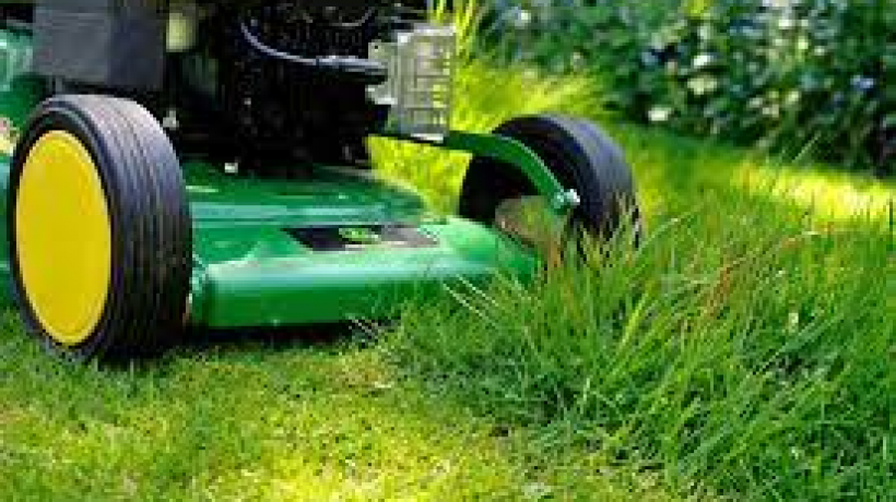 Coping With a Large Lawn