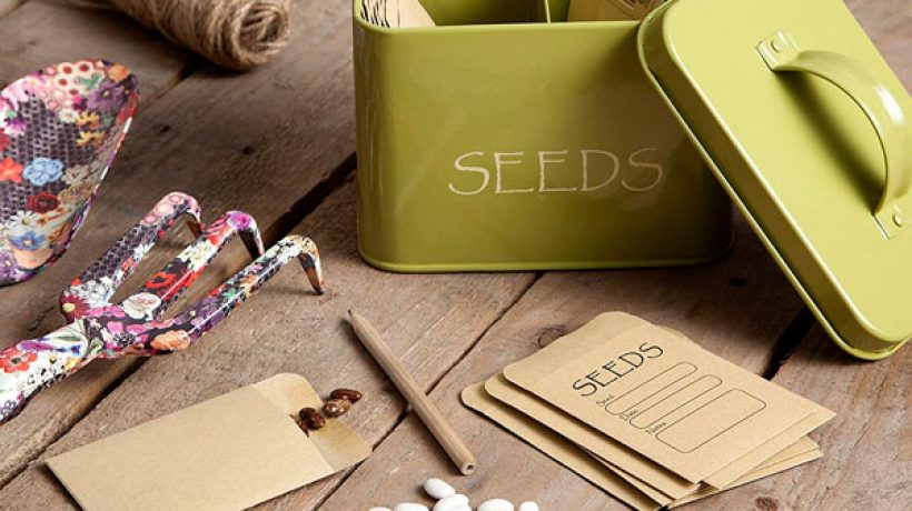 Can you save seeds for next year?